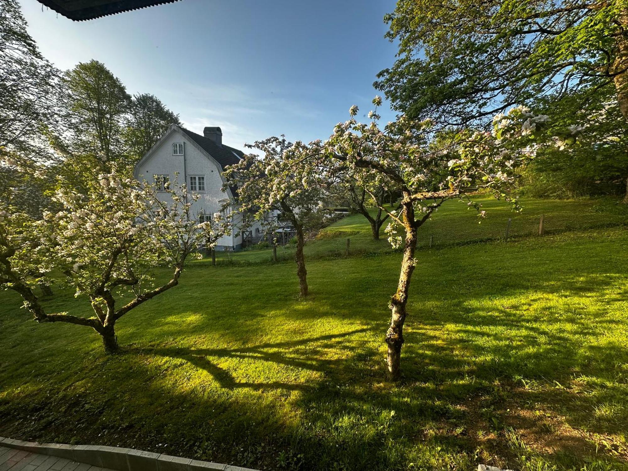 Luxury 2 Rooms Residence At The Heart Of Borås Kültér fotó